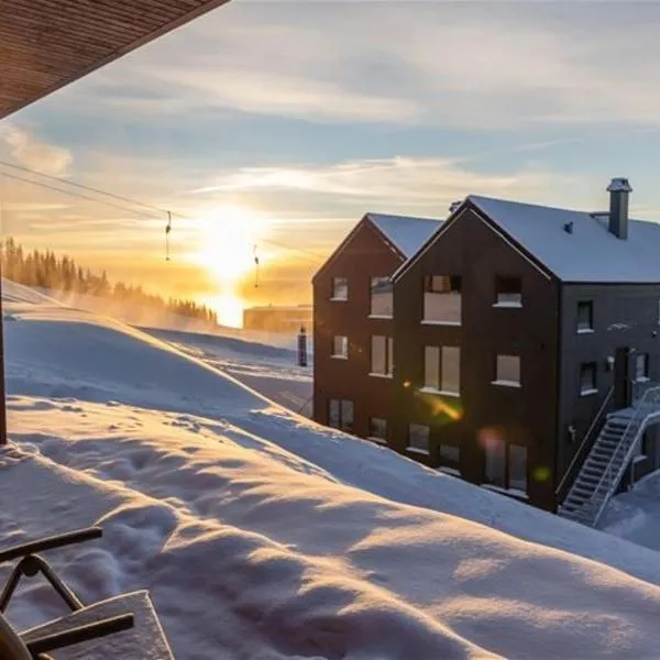 Ski in-out - 3BR, 2 Bath Chalet apartment - Favn Hafjell，位于哈山的酒店