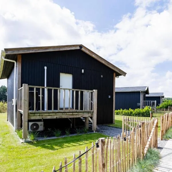 Tiny house XL - Vakantiepark De Kremmer，位于Gasselte的酒店
