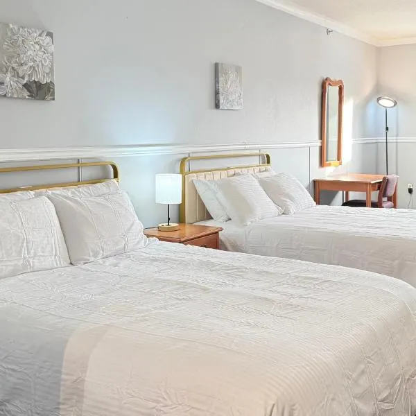 Elite Hotel -Downtown Center- "Ski & Northern light Tour" "Hot Spring Tour "Long-term stay"，位于怀特霍斯的酒店