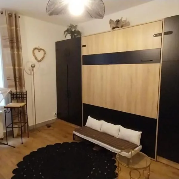 Agréable studio proche Paris et Porte de Versailles，位于马拉科夫的酒店