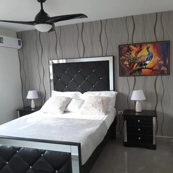 Deluxe One Bedroom Apartment in Kingston，位于金斯敦的酒店