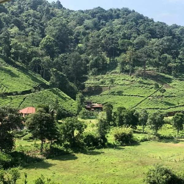 Janiro Tea Trees Villas，位于维特利的酒店