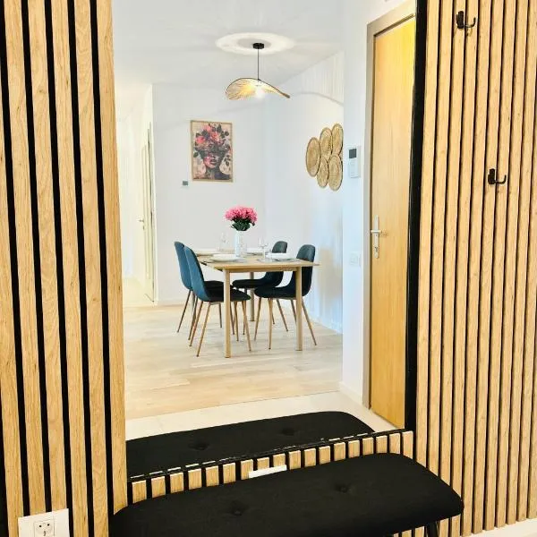 Central Grand Apartment，位于蒂米什瓦拉的酒店