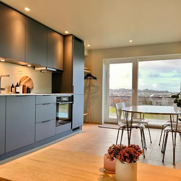 Basement apartment with sea view，位于海宁格松的酒店