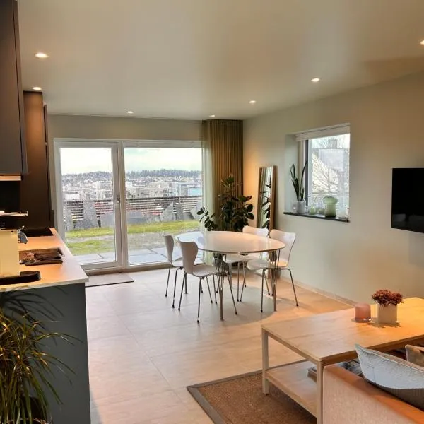 Apartment with garden and sea view，位于海宁格松的酒店