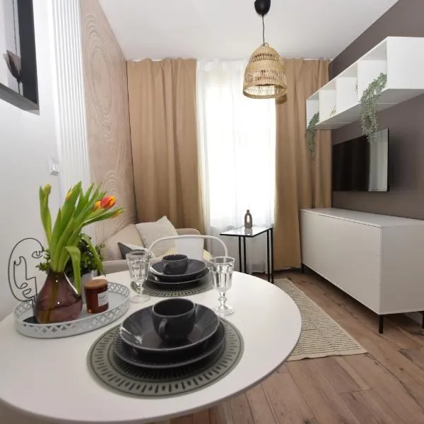 Apartamenty K netflix wi-fi，位于瓦乌布日赫的酒店
