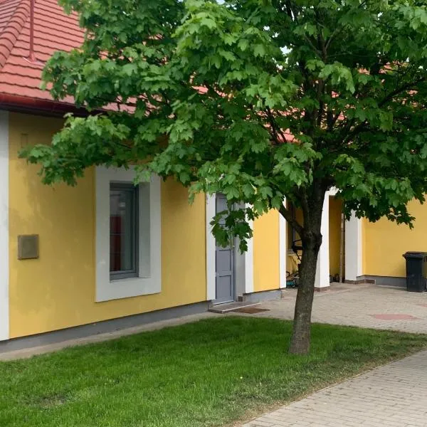 Nagyfiúk Vendégház，位于波罗斯洛的酒店