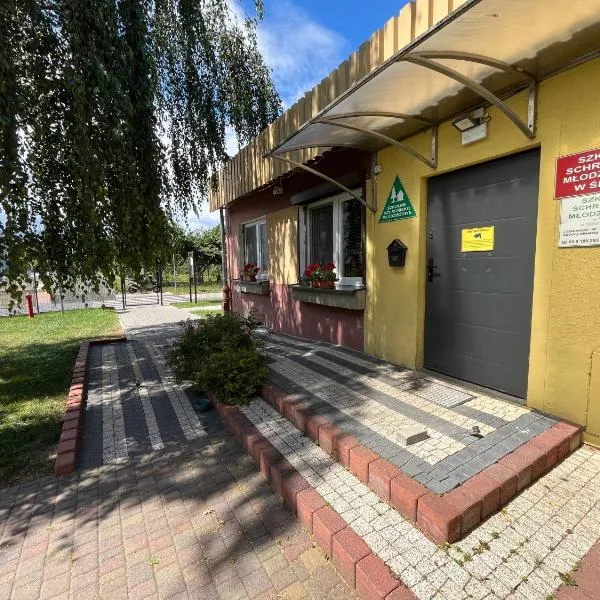 Szkolne Schronisko Młodzieżowe w Śmiglu，位于Śmigiel的酒店