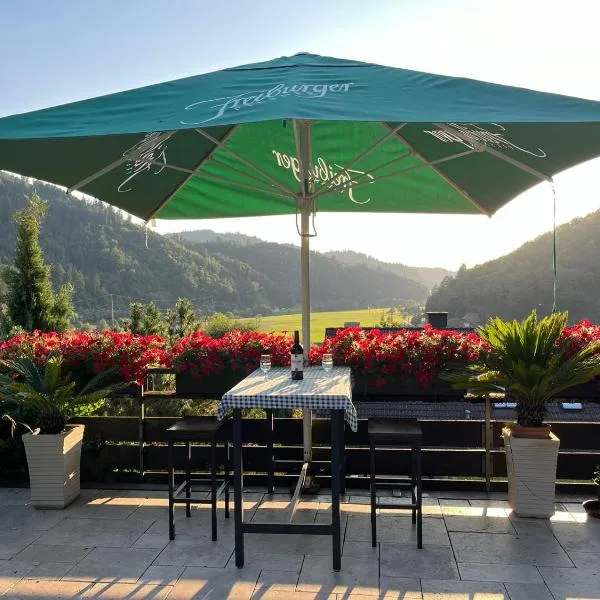 Sonnige Ferienwohnung im Kinzigtal，位于沃尔法赫的酒店