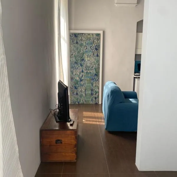 Appartamento centro storico，位于卡萨莱蒙费拉托的酒店