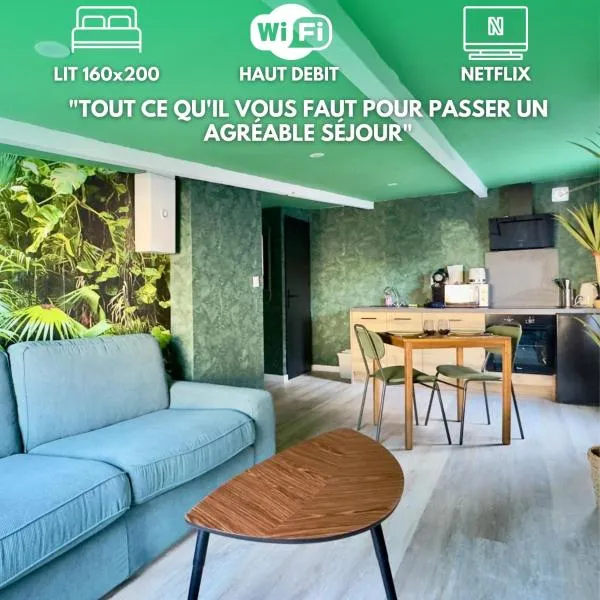 Suite Tropical-Netflix-Parking，位于杜埃的酒店