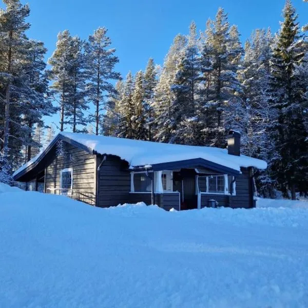 Gemütliches Blockhaus，位于Nornäs的酒店