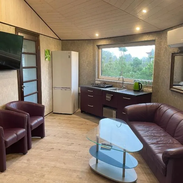 Feniksiukas，位于Agluonėnai的酒店