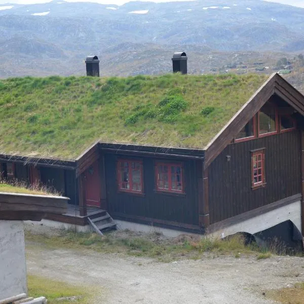 Gamlestøyl 30D, Haukeli Vågslid，位于Vågsli的酒店