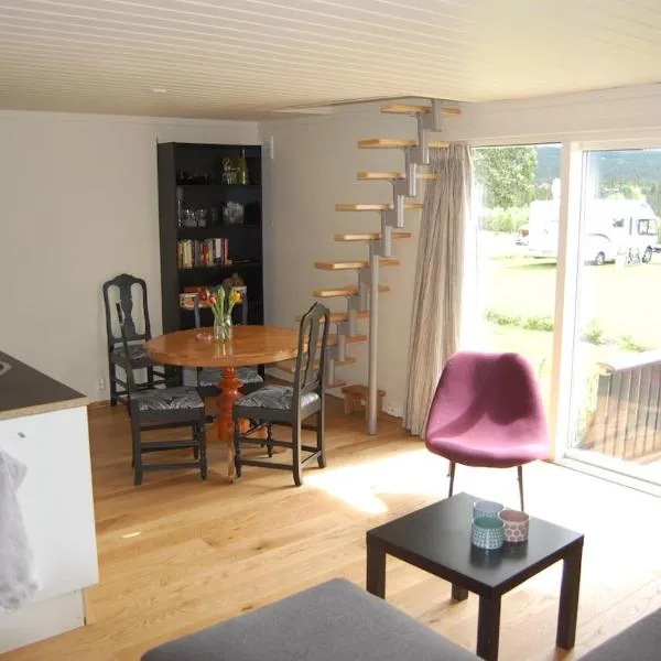 Apartment on Golsfjellet!，位于Gol的酒店