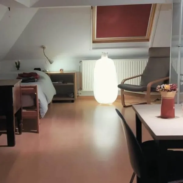 Cosy apartment in Brasschaat near Antwerp，位于布拉斯哈特的酒店