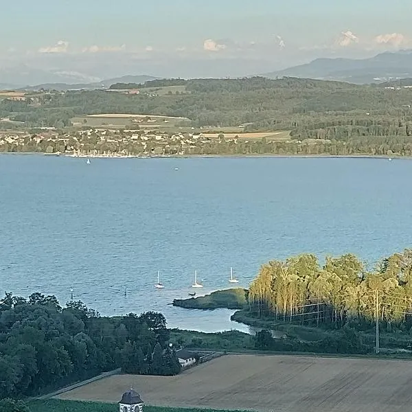 瑞士波尔佐伊住宿加早餐旅馆，位于Bellerive的酒店