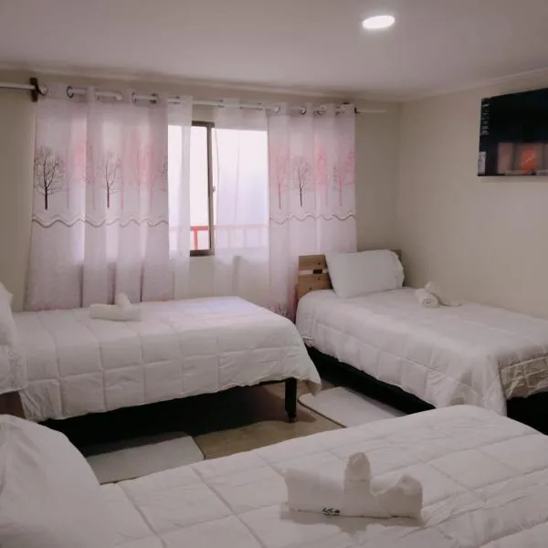 Hotel Victoria，位于伊基克的酒店