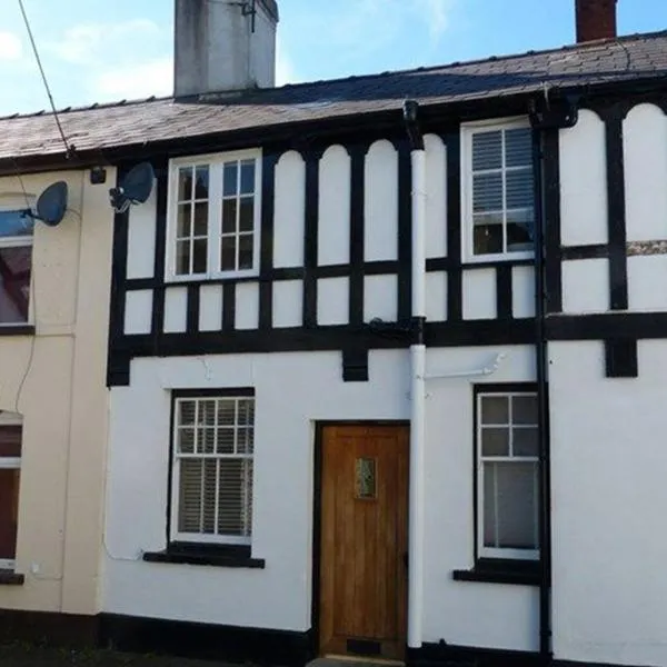 Charming newly renovated 3 bed cottage in Brecon town with private garden & pets welcome，位于布雷肯的酒店