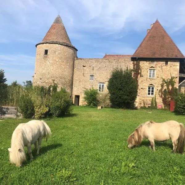 Appartement Château de Corcelle，位于Bourgvilain的酒店