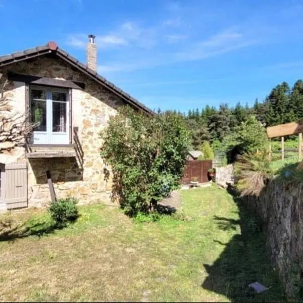 La Coquette du Bois - Wifi, Cosy, Familial, Calme, Bord de forêt，位于Chenereilles的酒店