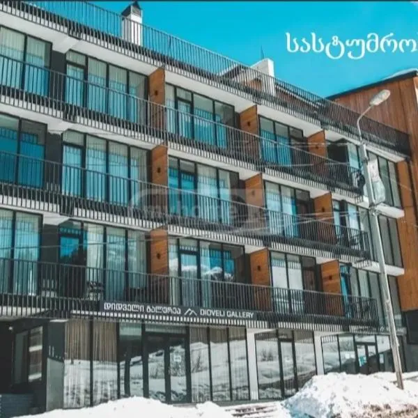 Didveli gallery，位于巴库里阿尼的酒店