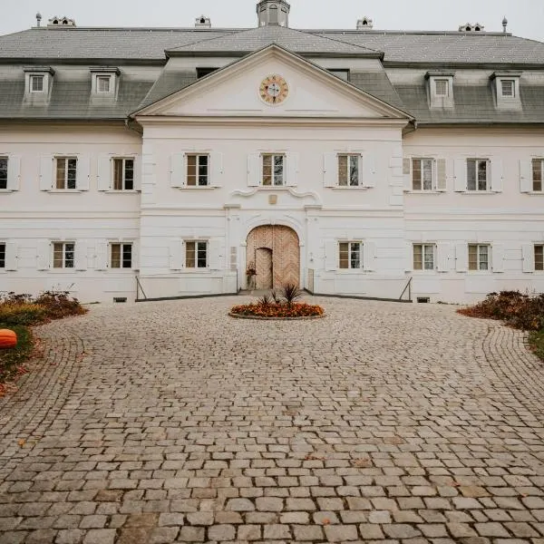 Hotel Château Gbeľany，位于日利纳的酒店