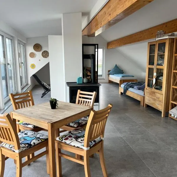 Galeriewohnung in Wallersdorf-Haidlfing，位于Wallersdorf的酒店
