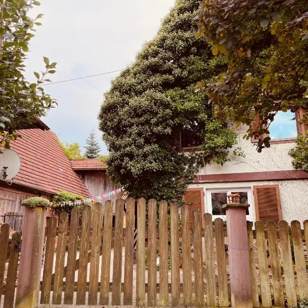 Ferienwohnungen auf einem ehemaligen Bauernhof，位于Neuhausen的酒店