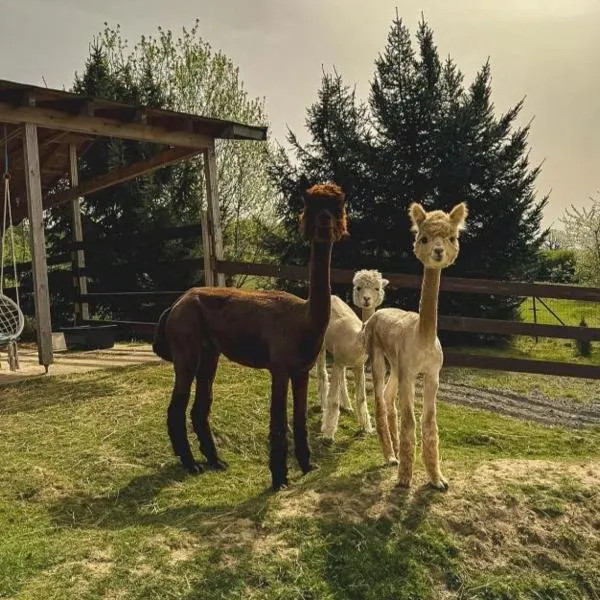 Agroturystyka Alpakolandia Góra Szybowcowa，位于Jeżów Sudecki的酒店