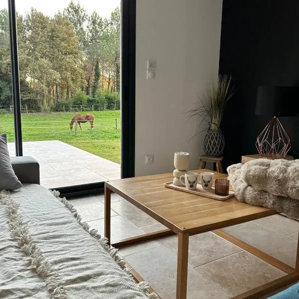 Maison dans les bois，位于Lacquy的酒店