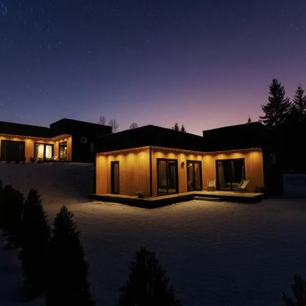 Carpathians View，位于Krivopolʼye的酒店