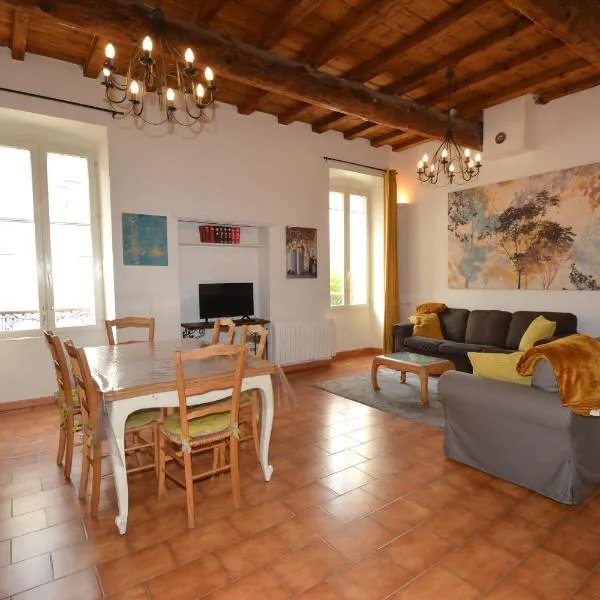 Maison Le Neuf Tarascon，位于塔拉斯孔的酒店