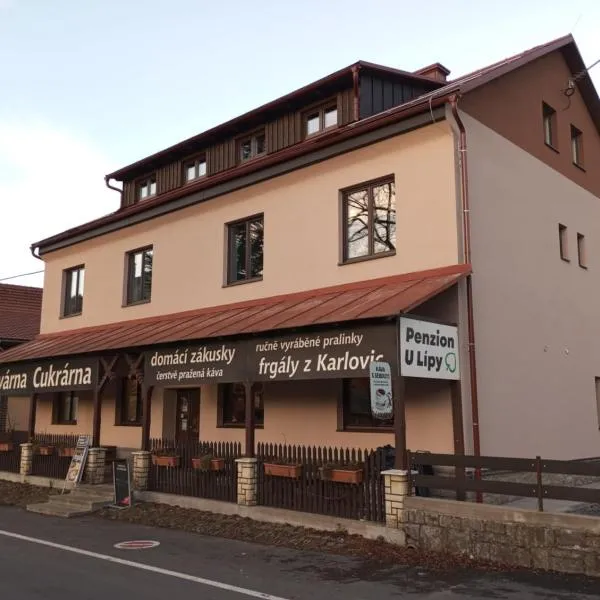 Penzion U Lípy，位于大卡尔洛维采的酒店