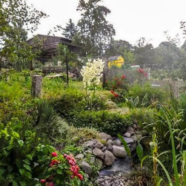 Ferienwohnung Socolowsky，位于Bad Sülze的酒店