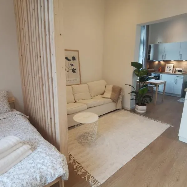FeWo 1 Zimmer Apartment barrierefrei in Berne，位于Berne的酒店