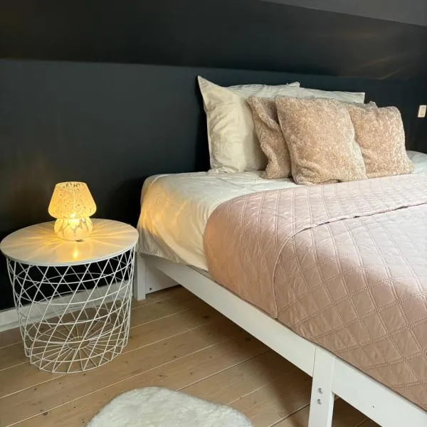 ArtGuestHouse，位于圣马尔滕斯·拉特姆的酒店