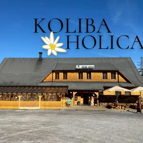 Koliba Holica，位于Huty的酒店