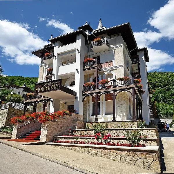 Hotel Moldavia，位于斯兰默多瓦的酒店