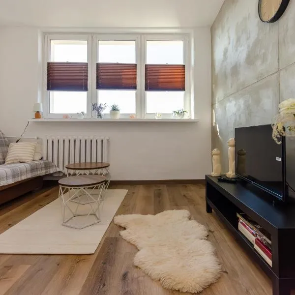 Dwa Koty，位于索斯诺维茨的酒店