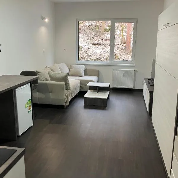 Apartmán Nelinka u Klínovce，位于奥斯特罗夫的酒店