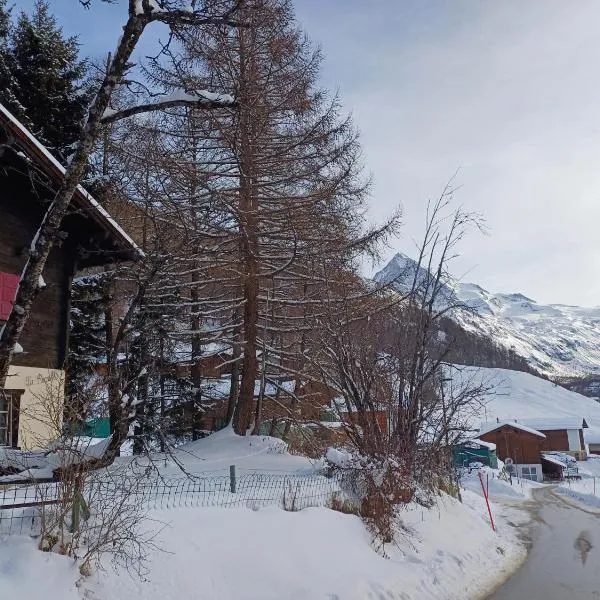 Chalet Alpin vue Dent Blanche，位于La Forclaz的酒店
