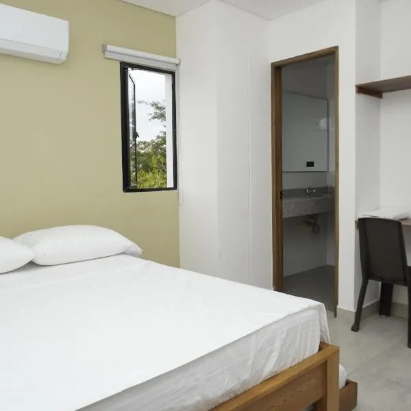 Hotel INdustrial，位于辛塞莱霍的酒店