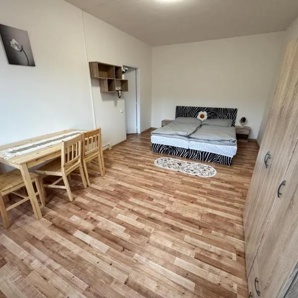Apartmán pro 4 osoby, Kraslice，位于索科洛夫的酒店