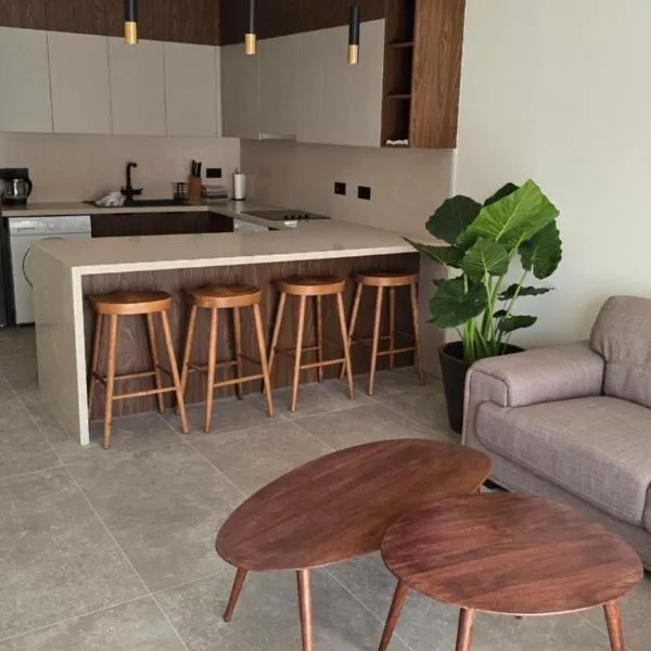 Dahan Sirena lighthouse Luxury Apartment，位于Paphos的酒店