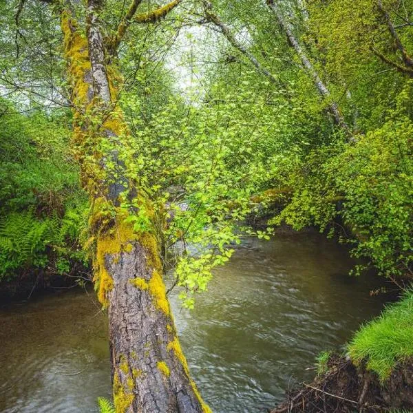 Rainforest Tiny Home Retreat Farmhouse 18，位于福克斯的酒店