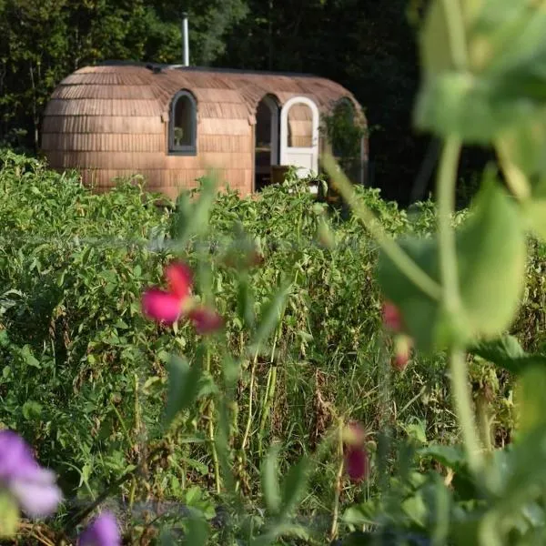 Igloo cabin in Saaremaa，位于Kapra的酒店