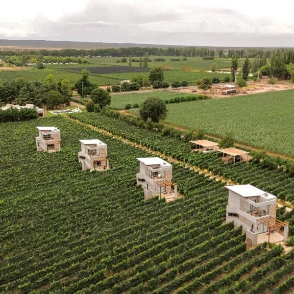 Agrelo Vines Lodge，位于Agrelo的酒店
