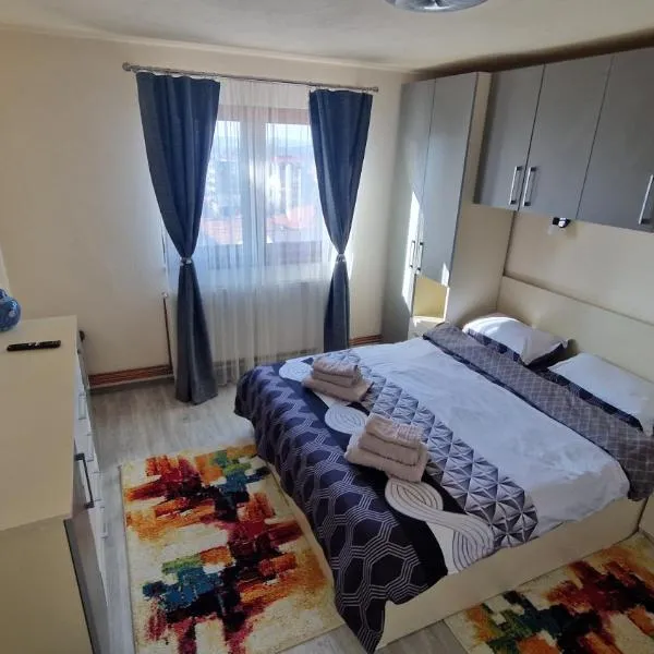 Apartament Blaj，位于布拉日的酒店