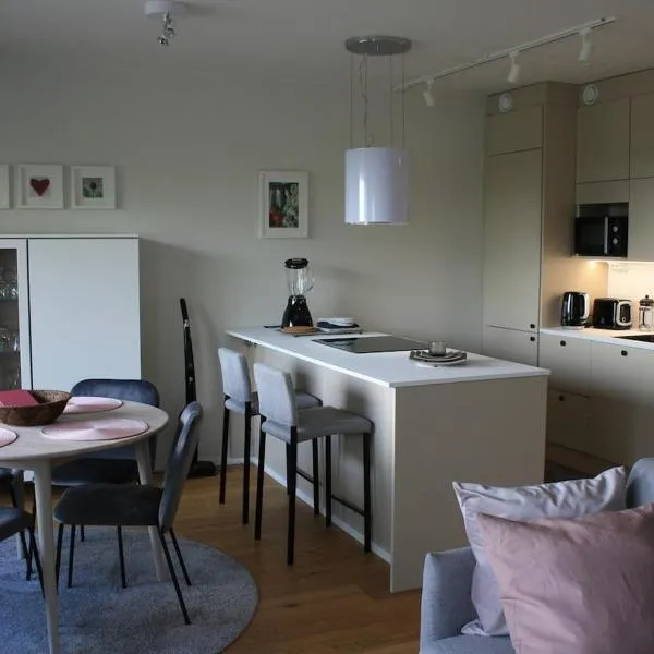Air conditioned condo downtown with lake view，位于海门林纳的酒店